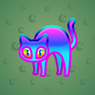 Scared Cat #14412