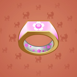 Signet Ring #8805