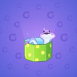 Snake Box #150095