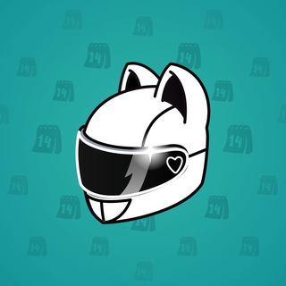 Neko Helmet #10674
