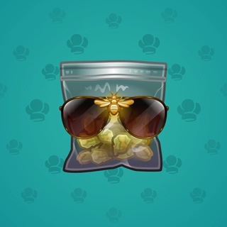 Aviators