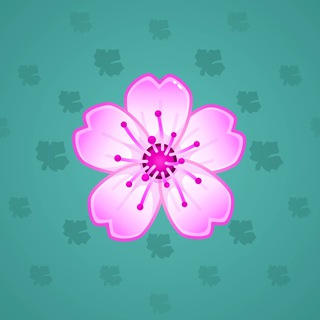 Sakura Flower #11548
