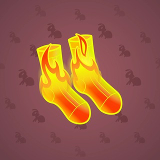 Fresh Socks #17819