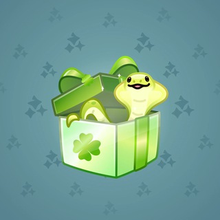 Snake Box #71725