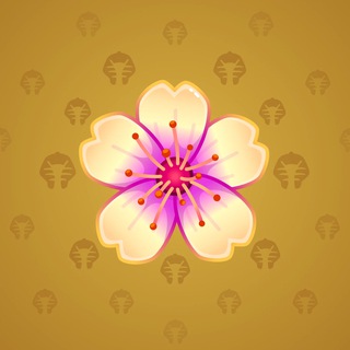 Sakura Flower #85970