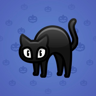 Scared Cat #3016