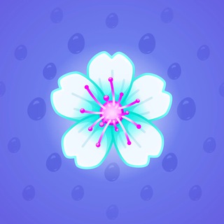 Sakura Flower #55523