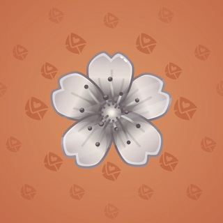 Sakura Flower #12479