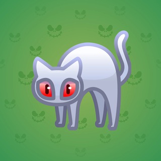 Scared Cat #15854