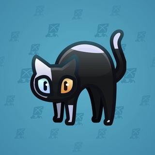 Scared Cat #13455