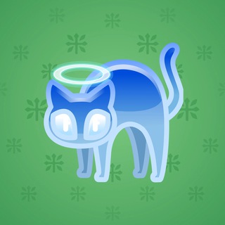 Scared Cat #12792
