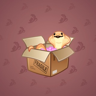 Snake Box #54221