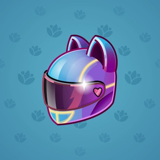 Neko Helmet #6725
