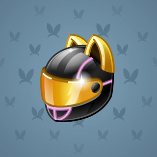 Neko Helmet #13988