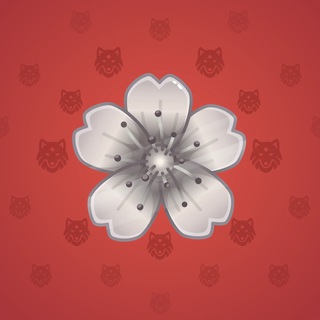 Sakura Flower #12095