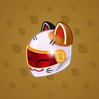 Neko Helmet #3649