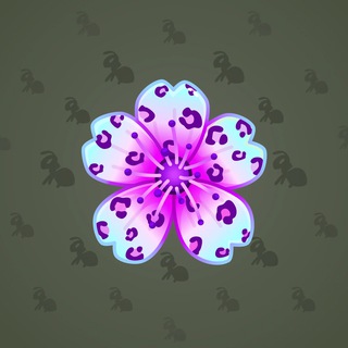 Sakura Flower #70596