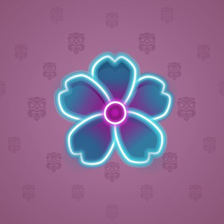 Sakura Flower #59854