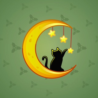 Moon Cat