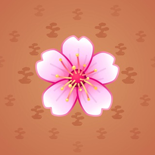 Sakura Flower #16211