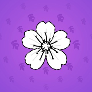 Sakura Flower #62631