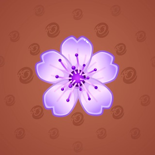 Sakura Flower #3805