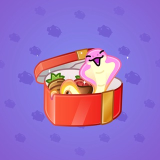 Snake Box #90192
