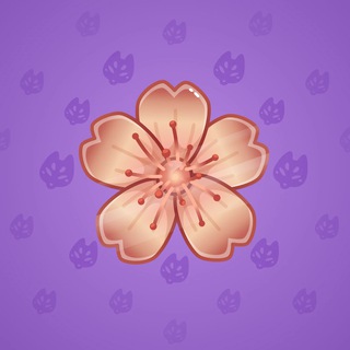 Sakura Flower #66061