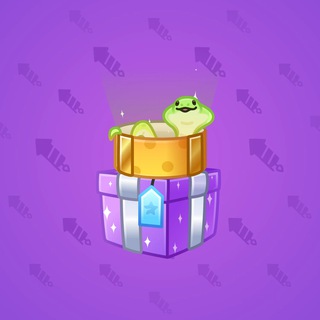 Snake Box #25867
