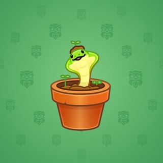 Snake Box #80109