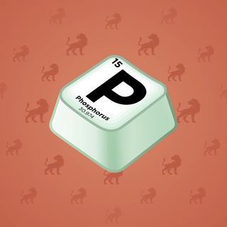 Input Key #45811