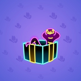 Snake Box #43375