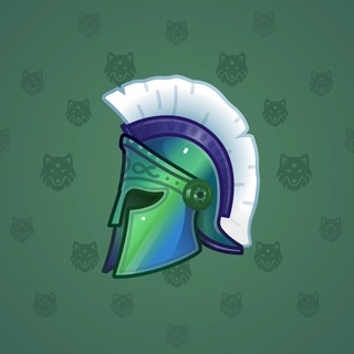 Heroic Helmet #1423