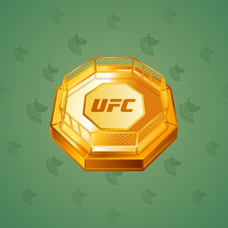 UFC Strike #39843