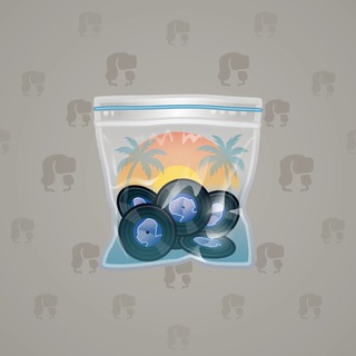 Swag Bag #58800