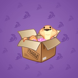 Snake Box #120458