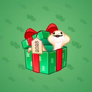 Snake Box #50108