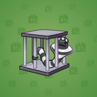 Snake Box #21524