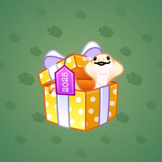Snake Box #60137