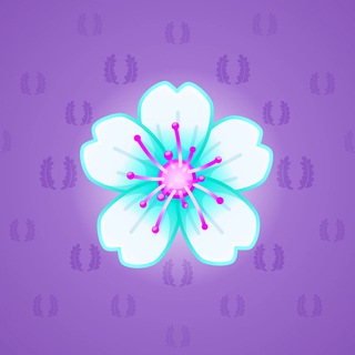 Sakura Flower #56883