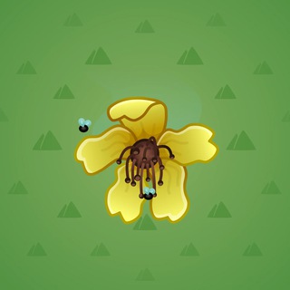 Wilted