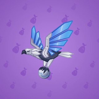 Rare Bird #11089