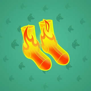 Fresh Socks #116823
