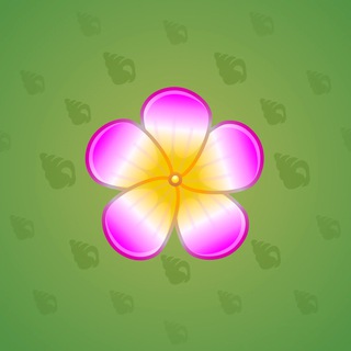 Sakura Flower #80676