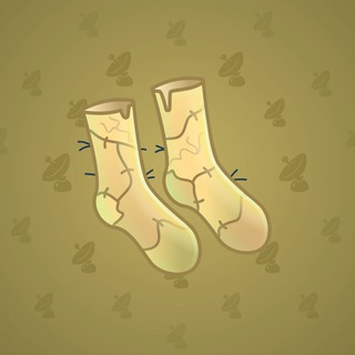Fresh Socks #100857