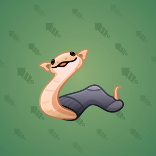 Pet Snake #175935