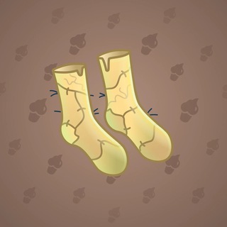 Fresh Socks #34613