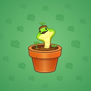 Snake Box #156714