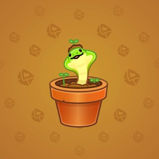 Snake Box #136438