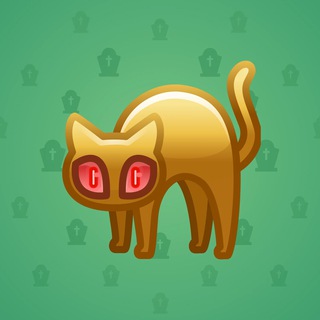 Scared Cat #14897